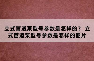 立式管道泵型号参数是怎样的？ 立式管道泵型号参数是怎样的图片